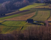 Działka budowlana na sprzedaż | Zborowice | Zdjęcie 7