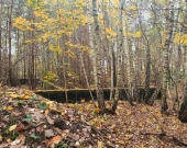centrum, las, wz na dwa bliźniaki, podział | Zdjęcie 4