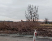 Działka Budowlana (1042 m2) okolice Betonowej MEDIA (Pęgów) | Zdjęcie 4