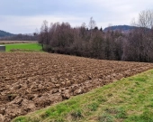 Duża działka w Brzozowej gmina Gromnik | Zdjęcie 5