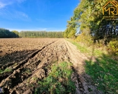 Duża działka budowlano-rolna w gminie Dąbrowa Tarn | Zdjęcie 6