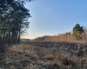 piękna otulona lasem z warunkami zabudowy | Zdjęcie 2