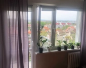 2pok, 49met, Okolice Strzegomskiej BALKON/PIWNICA/WINDA (Wrocław) | Zdjęcie 2