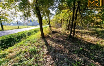 Zdjęcie główne ogłoszenia Duża działka budowlano-rolna w gminie Dąbrowa Tarn