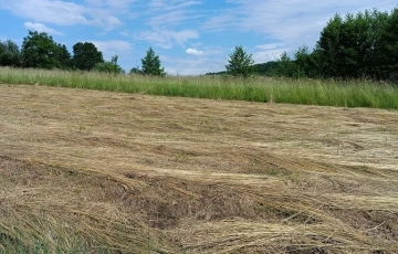 Zdjęcie główne ogłoszenia Wieliczka Sułów działka rolna przy asfalcie