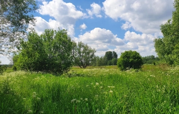 Zdjęcie główne ogłoszenia Sielska z zejściem do rzeki pod małe osiedle