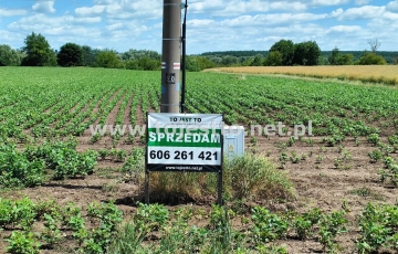 Zdjęcie główne ogłoszenia Działka, Hrubieszów