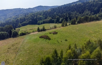 Zdjęcie główne ogłoszenia Działki budowlane w pięknej okolicy - Słona