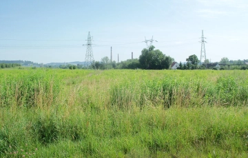 Zdjęcie główne ogłoszenia Budowlane 1,5ha/przy lesie/Kryształowice/gm.Sobótka