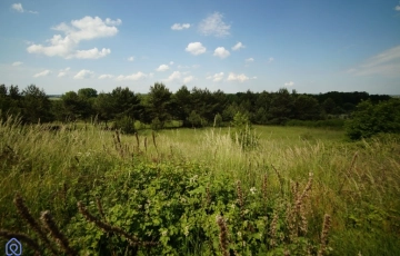 Zdjęcie główne ogłoszenia Sprzedaż działka budowlana 840m2 Górki gm.Prószków