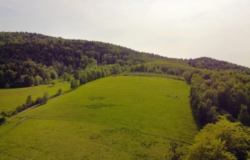 Zdjęcie główne ogłoszenia Działki budowlane w pięknej okolicy - Słona