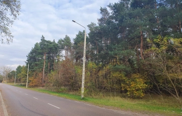 Zdjęcie główne ogłoszenia centrum, las, wz na dwa bliźniaki, podział