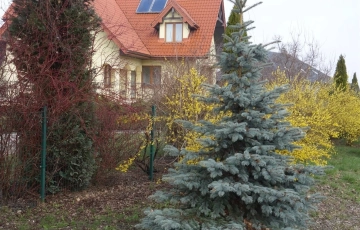 Zdjęcie główne ogłoszenia * Wolnostojący dom pod Lublinem*