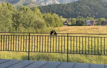 Zdjęcie główne ogłoszenia Mieszkanie, Zakopane