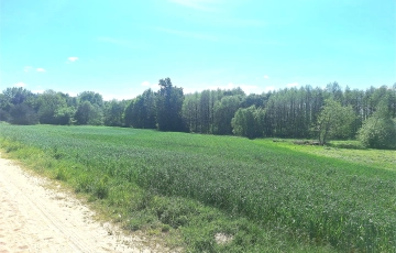 Zdjęcie główne ogłoszenia Działka budowlana nad jeziorem. Możliwość podziału