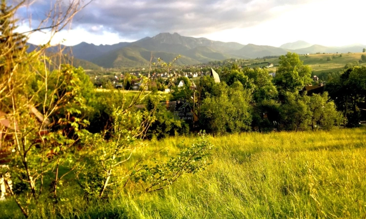 Działka, Zakopane | Zdjęcie główne