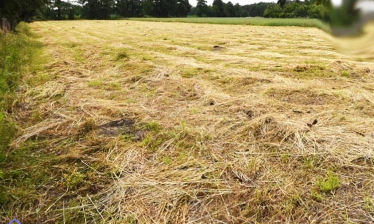 Działka budowlana sprzedaż 17 ar, Zawada, Opole | Zdjęcie główne