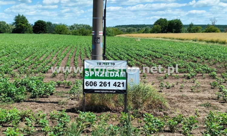 Działka, Hrubieszów | Zdjęcie główne