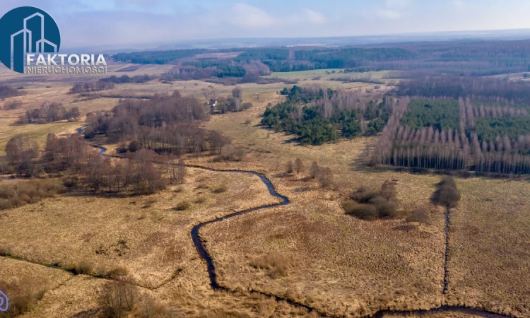 Duża działka rolna nad Nietupą blisko Krynek | Zdjęcie główne