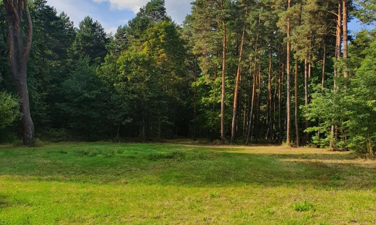 z lasem i Mienią, wz, skrzynkaz prądem | Zdjęcie główne