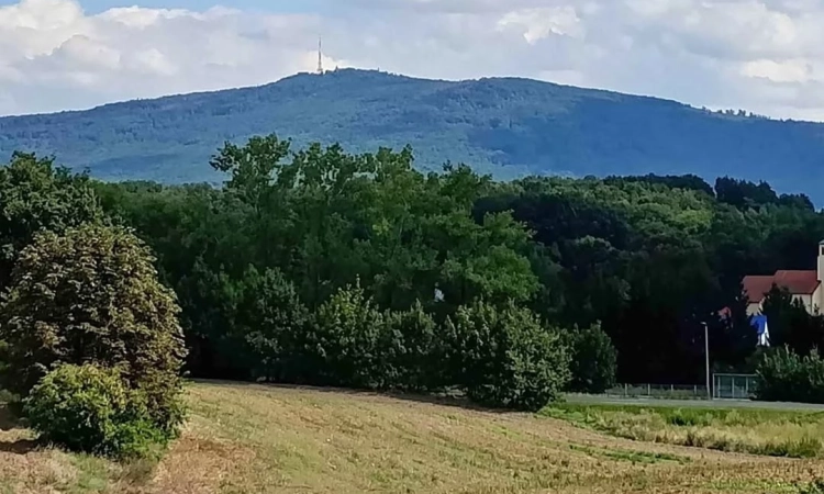 Działka Budowlana (1251 m2) okolice Sobótki MEDIA | Zdjęcie główne