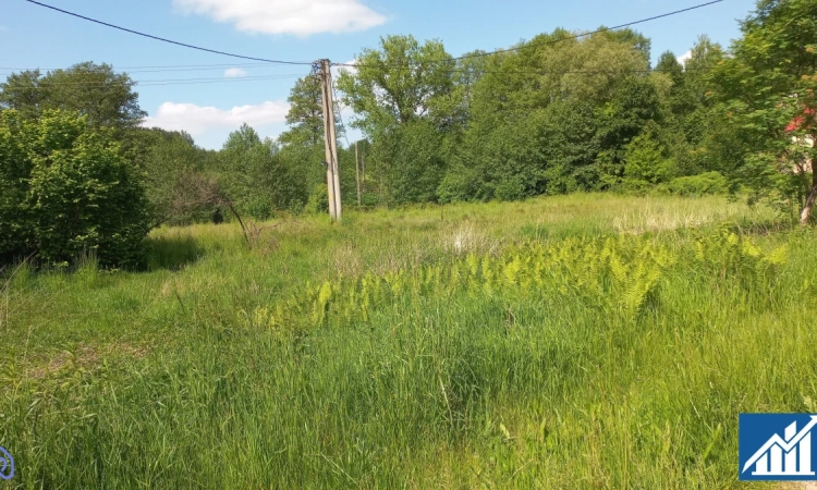 działka budowlana 20ar, Kaźmierzów, gm. Polkowice | Zdjęcie główne