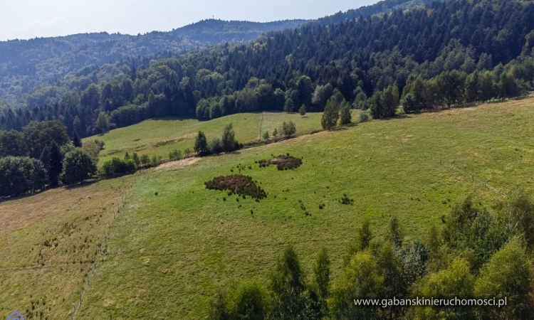 Działki budowlane w pięknej okolicy - Słona | Zdjęcie główne