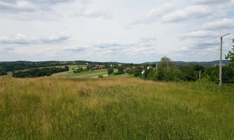 Działka, Czchów | Zdjęcie główne