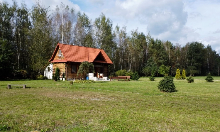 Urokliwe siedlisko ze stawem i lasem | Zdjęcie główne