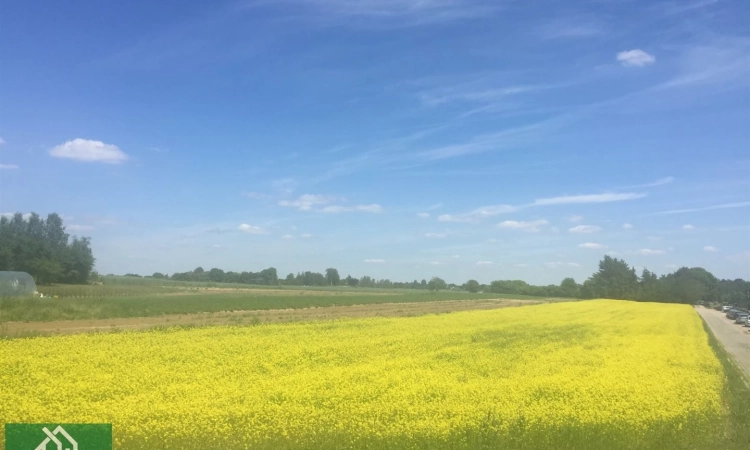 Duża działka na sprzedaż | Zdjęcie główne