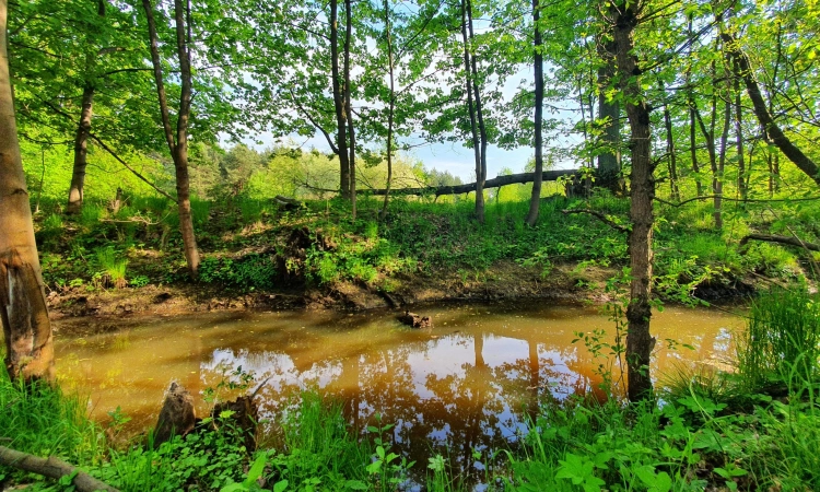 dwie do wyboru, warunki zabudowy, rzeka | Zdjęcie główne