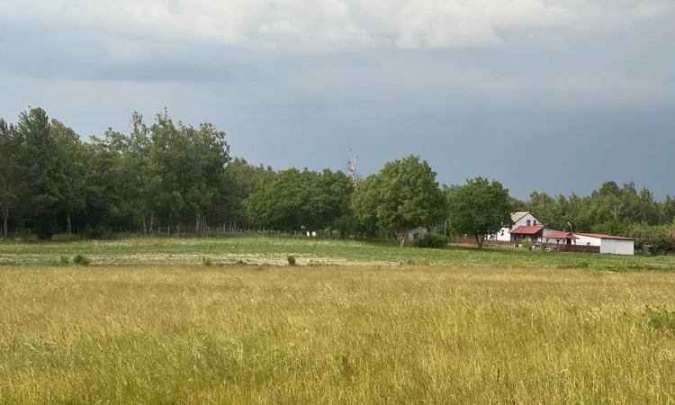 OKAZJA ! Załuski ostatnia działka budowlana ! | Zdjęcie główne