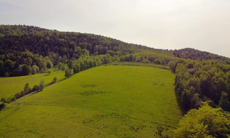 Działki budowlane w pięknej okolicy - Słona | Zdjęcie główne