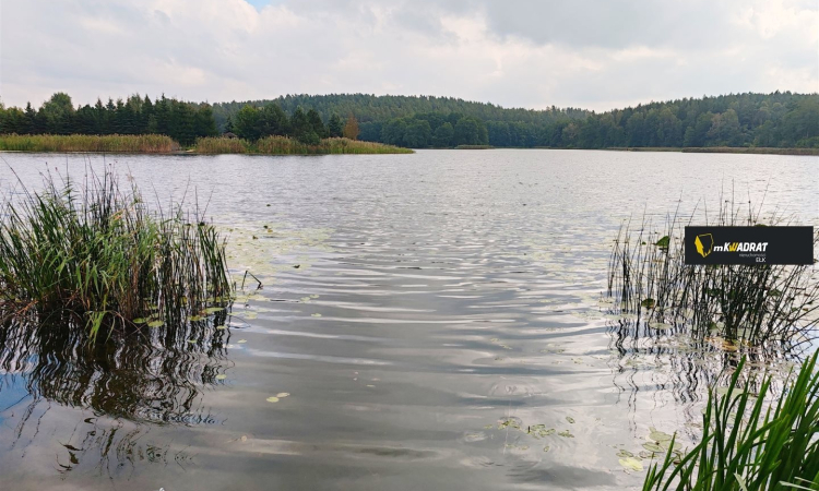 Dom, Płociczno | Zdjęcie główne