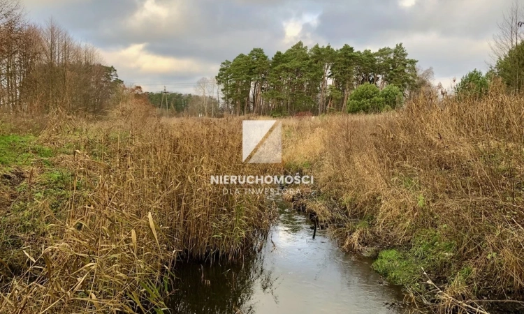 Kłodawa, 2 działki nad Kłodawką, 1,14 ha | Zdjęcie główne