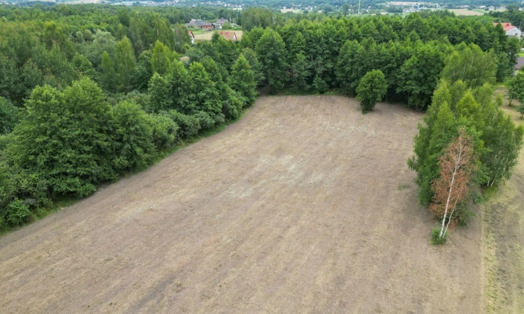 Działki Z Badaniami Geologicznymi. | Zdjęcie główne