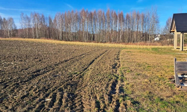 Działki budowlane w miejscowości Szynwałd | Zdjęcie główne