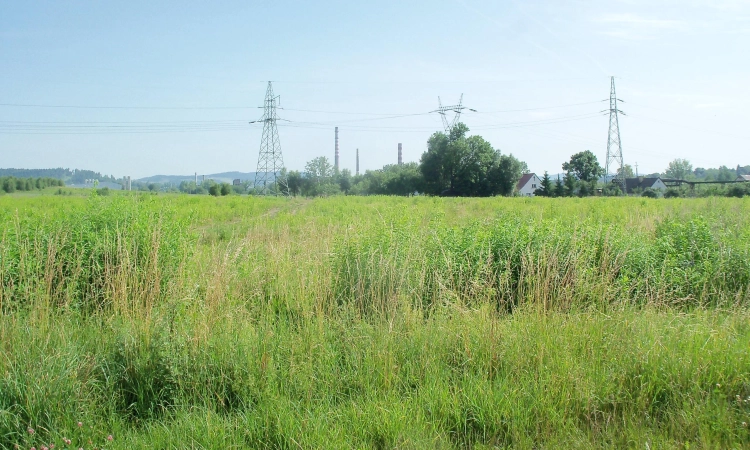 Budowlane 1,5ha/przy lesie/Kryształowice/gm.Sobótka | Zdjęcie główne