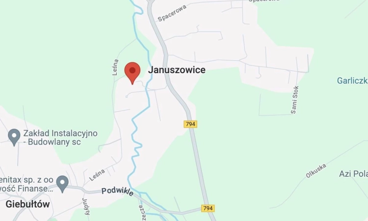 10 arowa działka w Januszowicach na sprzedaż! | Zdjęcie główne