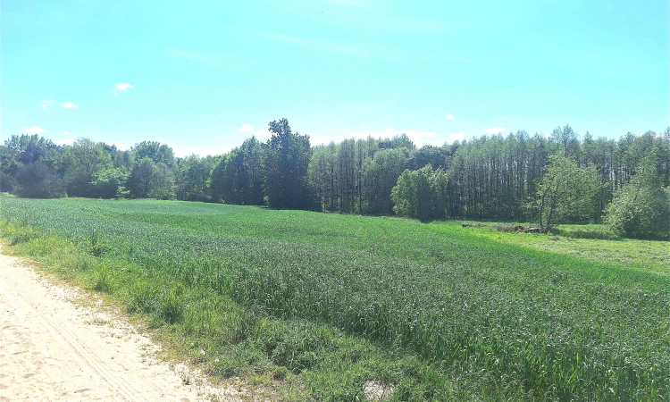 Działka budowlana nad jeziorem. Możliwość podziału | Zdjęcie główne