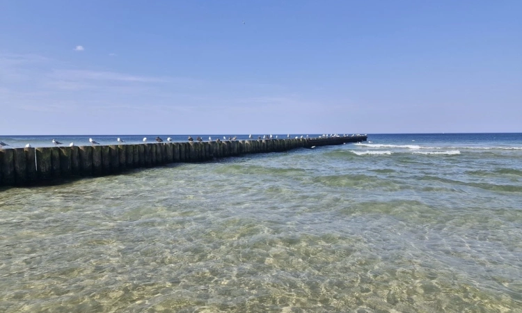 Kołobrzeg -Grzybowo dom 10 minut spacerem do plaży | Zdjęcie główne